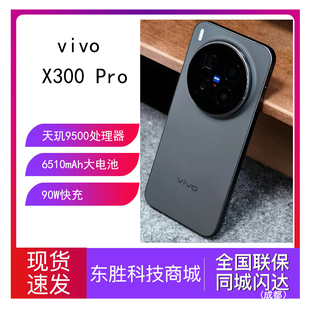 Pro X300 2亿长焦天玑9500拍照手机游戏音乐商务智能机 vivo 新品