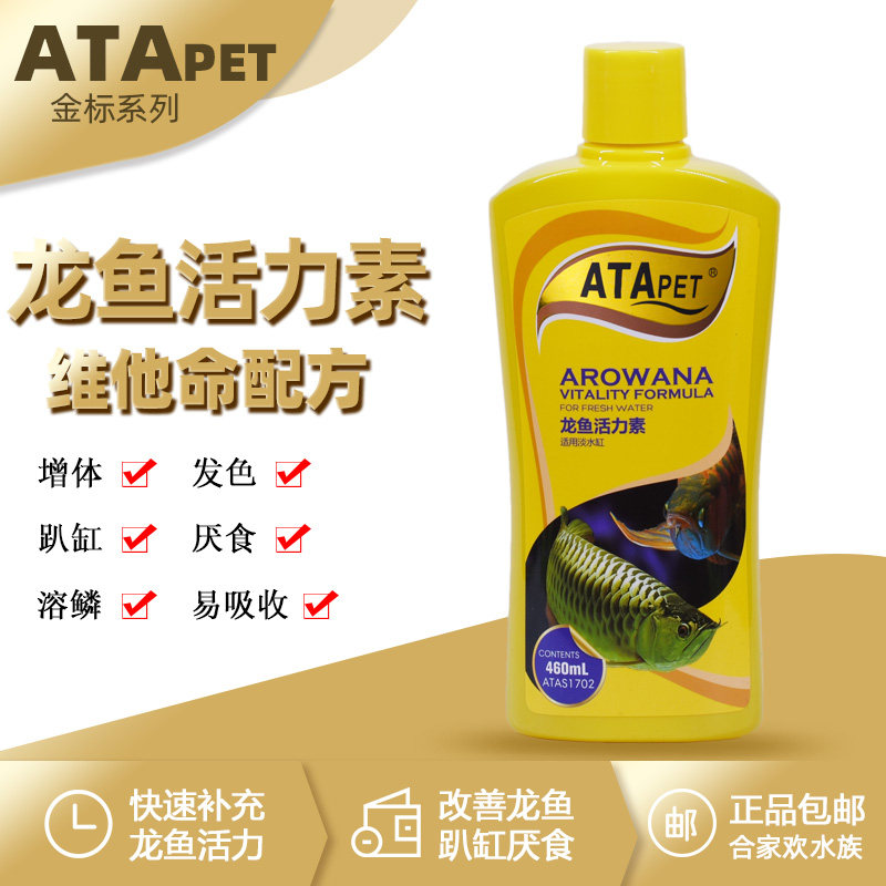 龙鱼趴缸厌食补充维生素提升活力