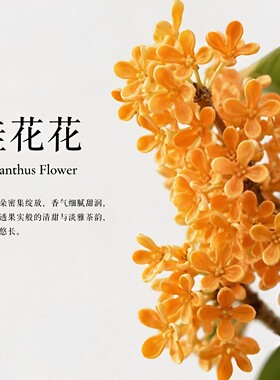 桂花味香水合集茶香师桂花乌龙安南之香柚子桂花乌龙茶试香小样