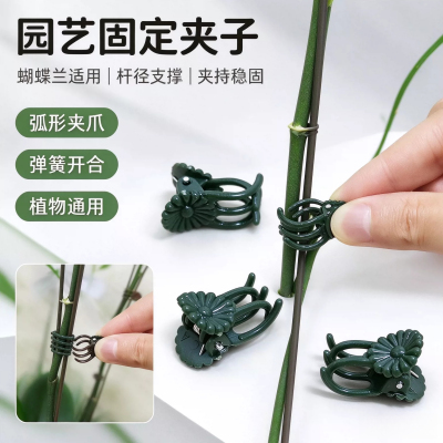 蝴蝶兰专用园艺固定夹