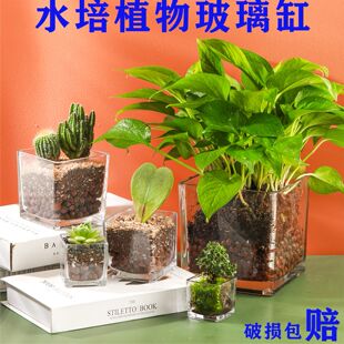 簡(jiǎn)約水培花盆正方形玻璃花瓶透明綠蘿水養(yǎng)植物器皿烏龜缸擺件插花