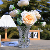 ins高级感简约创意民宿花瓶透明玻璃客厅桌面插干花装 饰摆件加厚