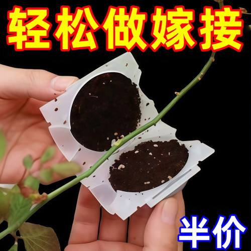 植物高压繁殖盒控根器扦插嫁接盒
