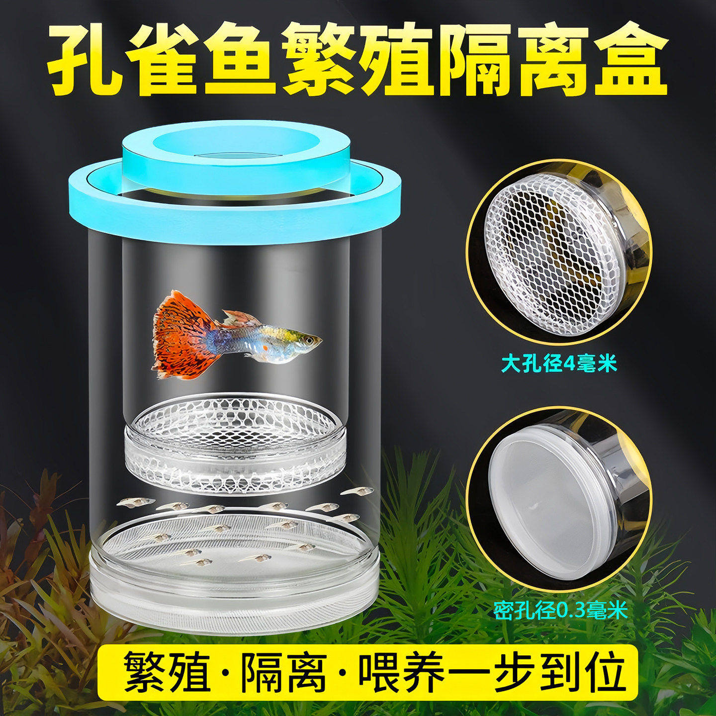 鱼缸隔离盒孔雀鱼繁殖产卵孵化盒
