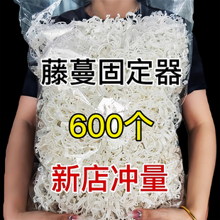 黄瓜西红柿豆角爬藤枝条固定器绿植蔬菜捆绑扎带藤蔓专用园林工具