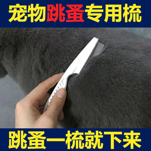 猫咪跳蚤梳猫密齿梳宠物直排梳