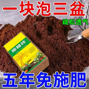 椰砖营养土养花种菜通用型椰土壤椰糠种花土多肉育苗种植土耶砖土