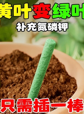 植物营养棒绿植盆栽家用种花养花通用型植物花卉多肉长效缓释肥料