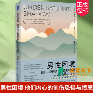 正版包邮 男性困境 他们内心的创伤恐惧与愤怒 (美)詹姆斯·霍利斯 浙江大学出版社 9787308250108 社会科学心理学书籍