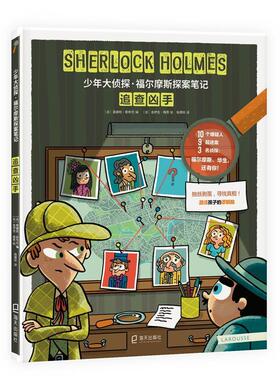 追查凶手洛伊克·梅黑小学生智力游戏生活休闲书籍