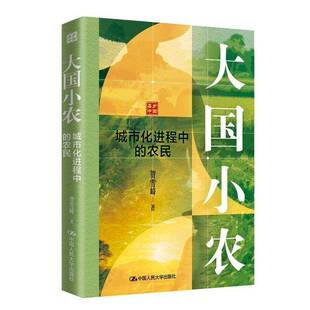 正版包邮 大国小农 城市化进程中的农民 贺雪峰 中国人民大学出版社 解构中国三农的 核心命题与破局之路 县乡中国 9787300315393