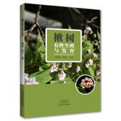 林业 农业 书籍 书樊莉丽 楸树有性生殖与发育