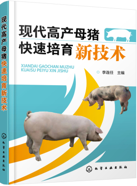 正版 现代高产母猪快速培育新技术 李连任 家畜 书籍