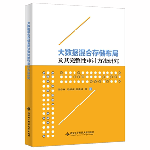 大数据混合存储布局及其完整审计方法研究邵必林 工业技术书籍
