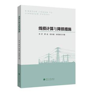 线损计算与降损措施9787563097302 李洋南京河海大学出版社工业技术 书籍