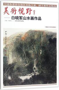 美术视野-白晓军山水画作品 书贾德江 动漫与绘本 书籍
