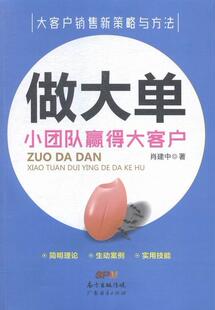 小团队赢得大客户 管理 书 9787545437430 书籍 肖建中 做大单