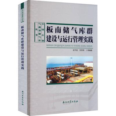 板南储气库群建设与运行管理实践赵平起  工业技术书籍