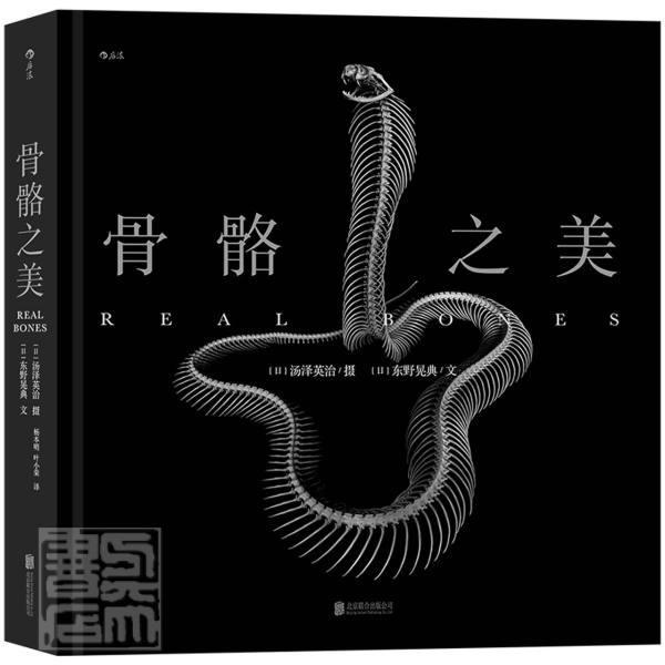 骨骼之美东野晃典文普通大众摄影集日本现代骨骼摄影集自然科学书籍