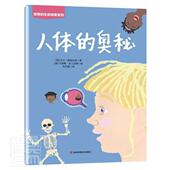 人体 奥秘大卫·斯图尔特学龄前儿童人体儿童读物医药卫生书籍