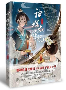 神探太子妃卫雨普通大众长篇小说中国当代小说书籍