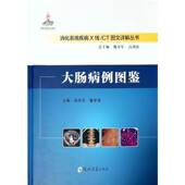 大肠病例图鉴孙应实 医药卫生书籍