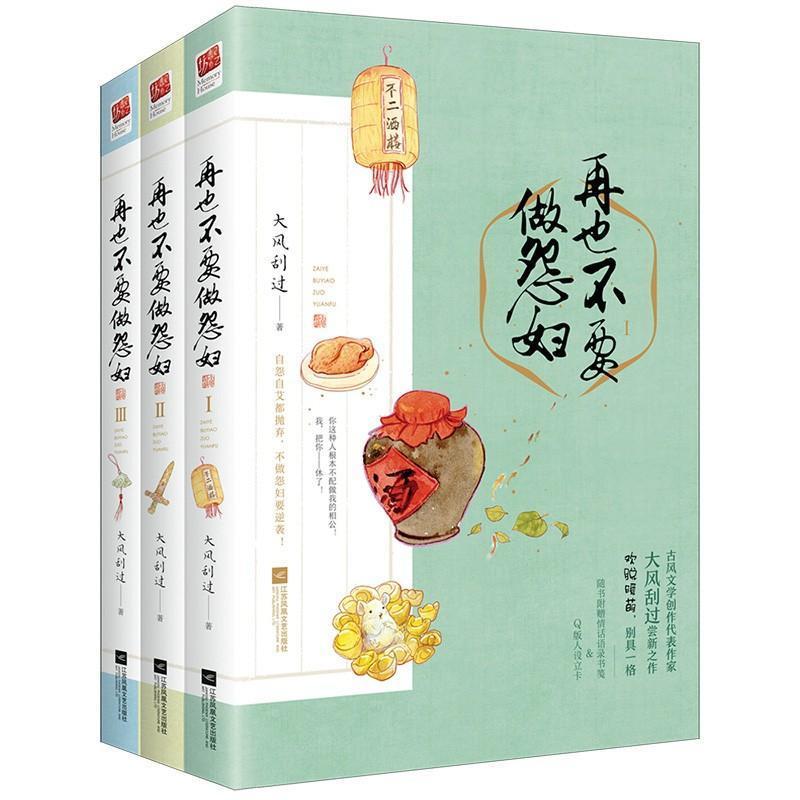 再也不要做怨妇9787559417091 大风刮过江苏凤凰文艺出版社小说长篇小说中国当代书籍