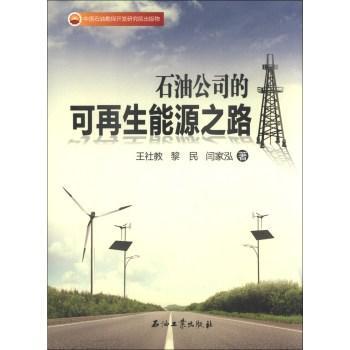 石油公司的可再生能源之路王社教  经济书籍