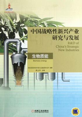 中国战略新兴产业研究与发展:生物质能:Biomass energy韩文科 新兴产业产业发展研究中国经济书籍