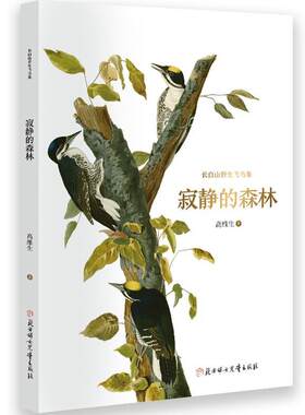 寂静的森林：：：高维生  文学书籍