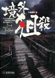 境外狙杀今夜暴雪 长篇小说中国当代小说书籍