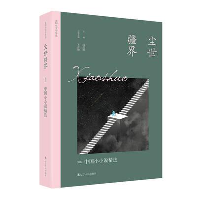 尘世疆界:2022中国小小说王彦艳  小说书籍