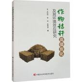 作物秸秆高值炭化及其环境效应研究王丽丽 林业书籍 农业