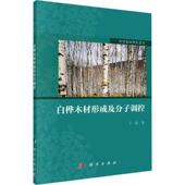 白桦木材形成及分子调控王超 林业书籍 农业