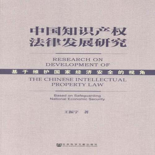 中国知识产权法律发展研究:基于维护国家经济的视角:based on9787509757994 王振宇社会科学文献出版社法律知识产权法研究中国书籍