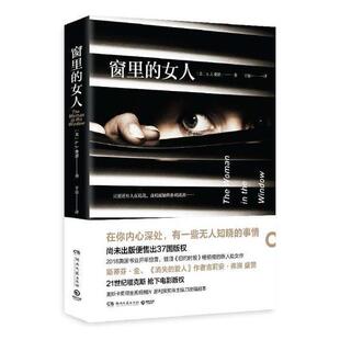 窗里的女人 书费恩 小说 书籍