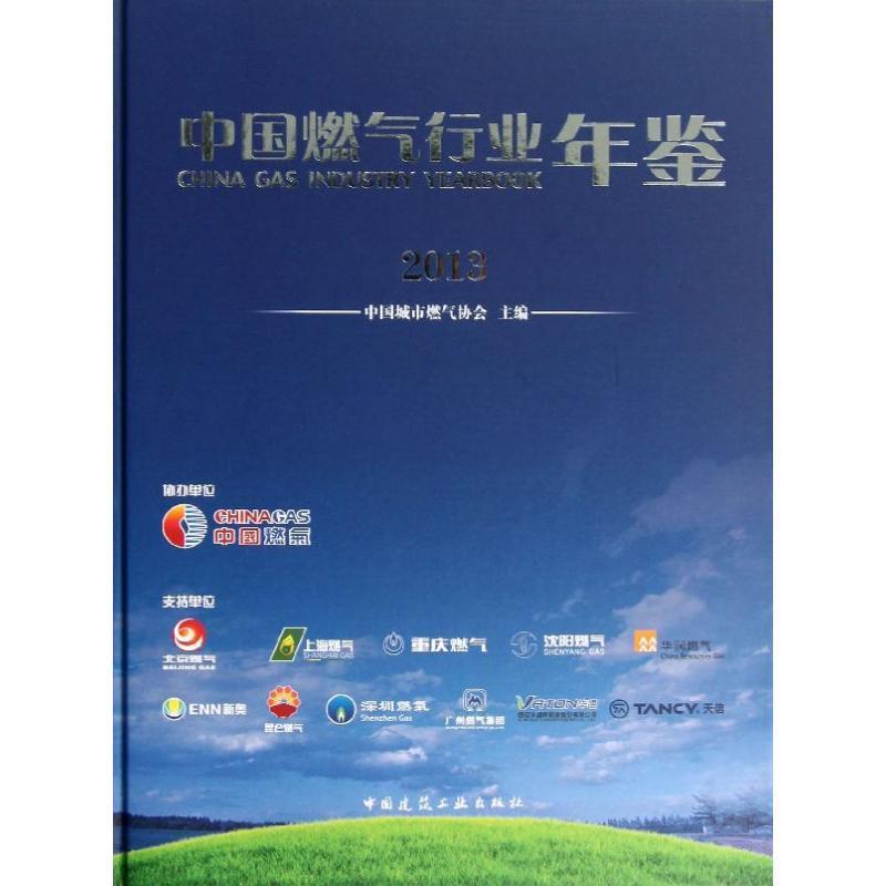 中国燃气行业年鉴:2013中国城市燃气协会 经济书籍