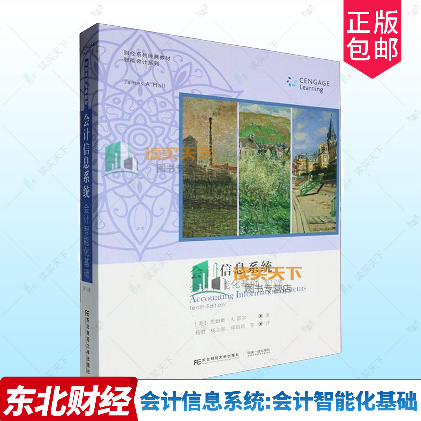 正版 会计信息系统:会计智能化基础 第10十版 詹姆斯·霍尔 财经系列经典教程 智能会计系列 经济书籍 东北财经大学出版社