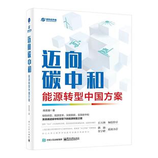 正版包邮 迈向碳中和:能源转型中国方案 肖忠湘 著 中国未来能源结构调整方向以及产业机遇 电子工业出版社书籍