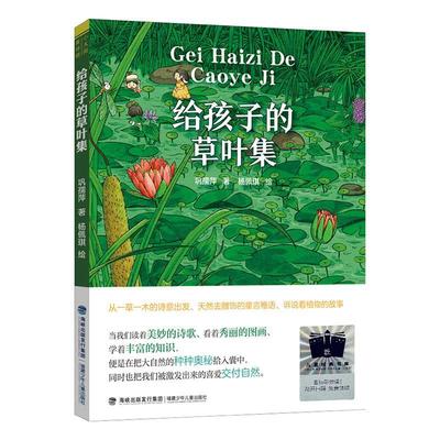 给孩子的叶集巩孺萍  儿童读物书籍