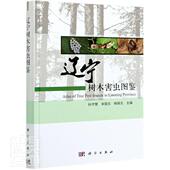 辽宁树木害虫图鉴孙守慧普通大众森林害虫辽宁图集农业 林业书籍