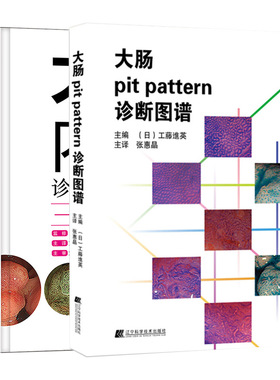 大肠内镜诊断基础及技巧+大肠pit pattern诊断图谱 2册套 医学图谱 提高大肠病变的诊断水平 大肠疾病诊断书籍 辽宁科学技术出版