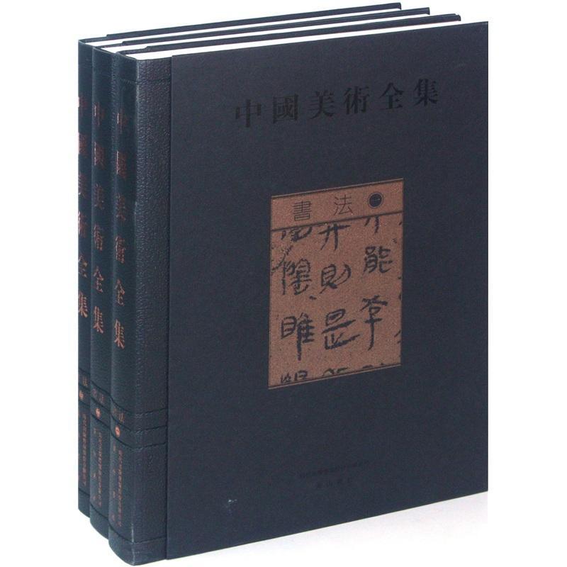中国美术全集:书法金维诺青年 艺术书籍