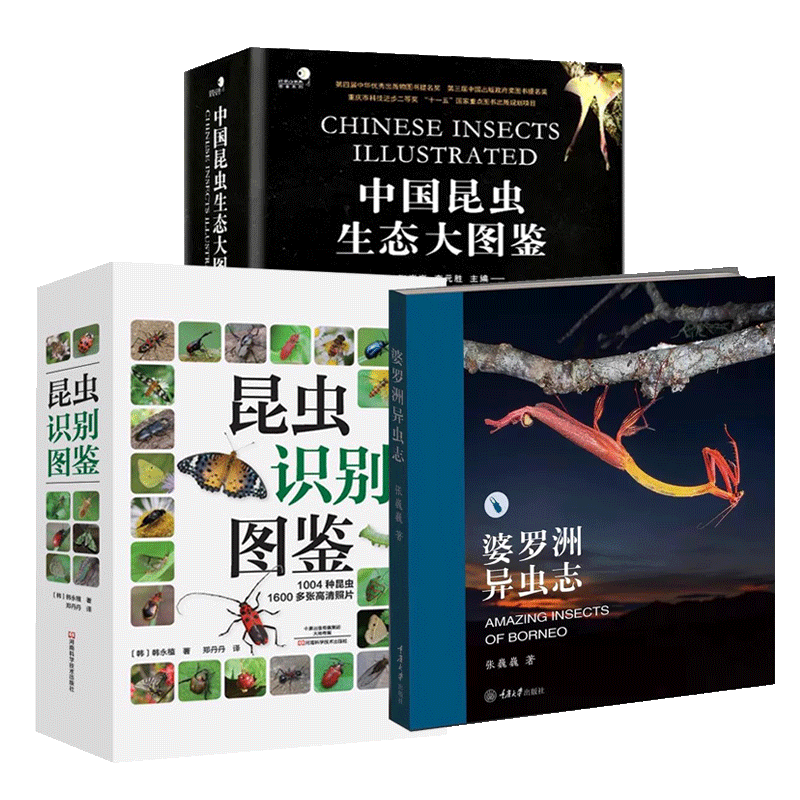 全3册 中国昆虫生态大图鉴+ 昆虫识别图鉴 +婆罗洲异虫志1004种昆虫1600多张高清照片昆虫动物世界昆虫蝴蝶科普百科书婆罗洲原始