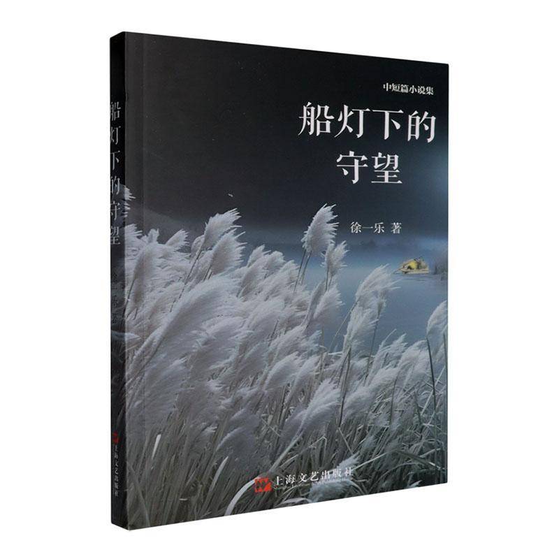 船灯下的守望9787532190744 徐一乐上海文艺出版社小说 书籍