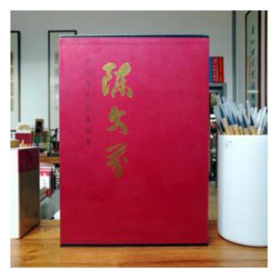 中国当代名家画集:陈文芬 绘画作品集中国近现代艺术书籍