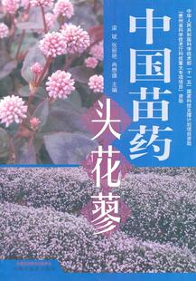 正版中国苗头花蓼9787513219570 梁斌中国中医药出版社医药、卫生  书籍
