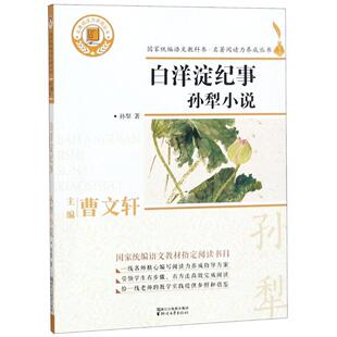 白洋淀纪事:孙犁小说 书孙犁 中小学教辅 书籍
