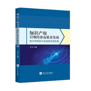 知识产权经济高质量发展(地方的探索与实践研究报告集)王宏  法律书籍