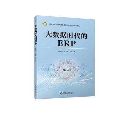 大数据时代的ERP霍灵瑜田志勇王烨  工业技术书籍